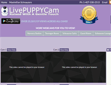 Tablet Screenshot of livepuppycam.com